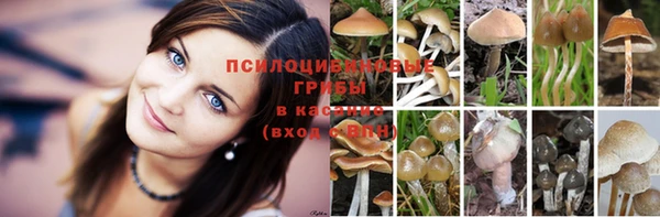 гашиш Протвино