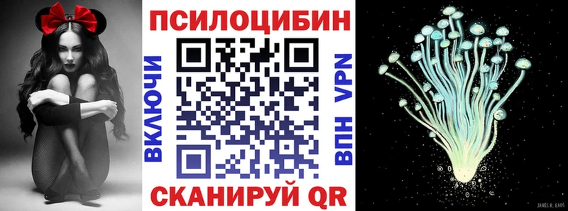 где можно купить наркотик  Каменногорск  Псилоцибиновые грибы прущие грибы 
